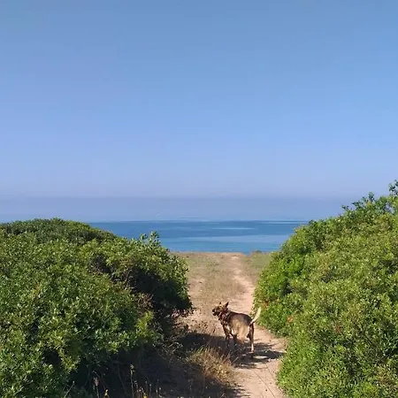 Nocleg ze śniadaniem Sa Cannizzada Funtana Meiga