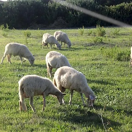 Sa Cannizzada Oda ve Kahvaltı
