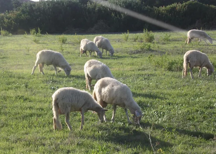 Sa Cannizzada Bed and breakfast