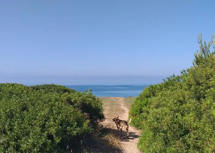 Bed and breakfast Sa Cannizzada Funtana Meiga